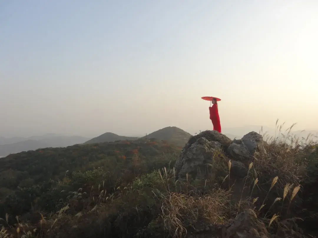 西游记里的职场经验有哪些?(图6) 西游记里的职场经验有哪些?(图6)