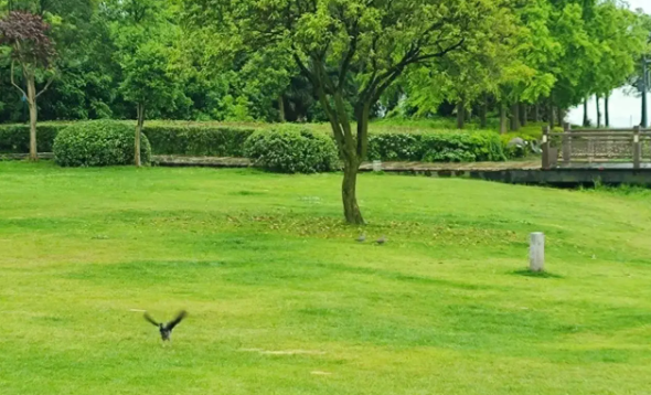 约定离职反悔怎么办呢?(图1) 约定离职反悔怎么办呢?(图1)